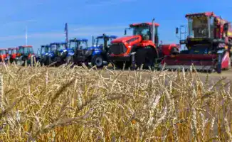 Сельское хозяйство на пике урожая: прирост продукции на 6,1% как новый урожайный рекорд