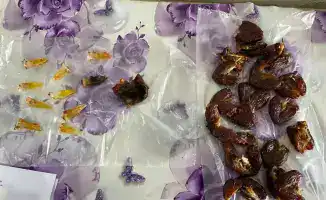 Пресечение попыток проноса запрещённых предметов в учреждения УИС Павлодара