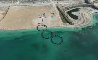 Инвестиции в аквакультуру: как 50 млрд тенге изменят отрасль к 2030 году