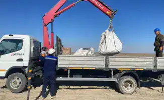 Экологические нарушения компании «Karabatan Utility Solutions» и последствия для окружающей среды