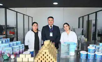 В регионе трудоустроено 28 тысяч человек за год