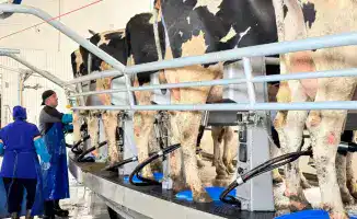 84 семени успеха: программа тиражирования опыта СКО начинает плодоносить в АПК