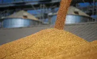 Казахстан наращивает объемы экспорта зерна