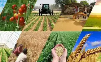 Измените правила агро: присоединяйтесь к обсуждениям!