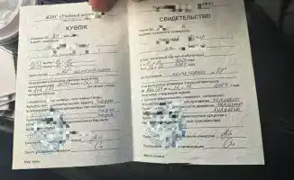 Международное мошенничество с подделкой страховых полисов раскрыто в Казахстане