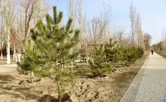 Расширение зон отдыха в городе: новые возможности для жителей и гостей