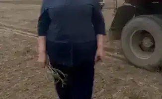 Светлана Орехова: 46 лет преданности профессии в агрономии и вдохновение для будущих поколений