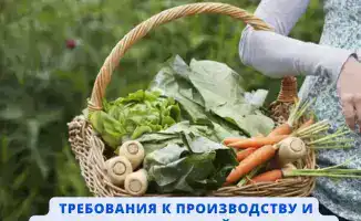 Рост интереса потребителей к органической продукции и важность сертификации