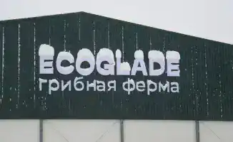 В регионе открыта крупнейшая грибная ферма с инвестициями 11,3 млрд тенге