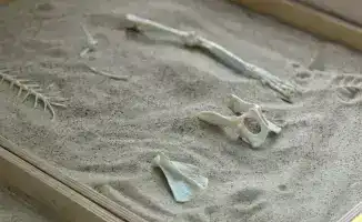 В Астане прошел семинар для детей о значимости профессий