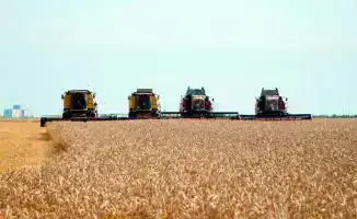 Казахстан инициирует программу кредитования для модернизации элеваторов в рамках развития сельскохозяйственной инфраструктуры