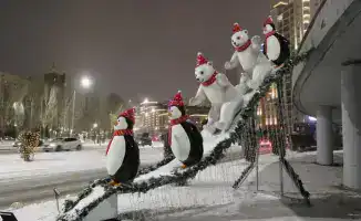 Зеленые насаждения в Есиле: улучшение экологии и инфраструктуры района