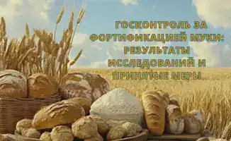 Проблема соблюдения стандартов фортификации муки: влияние на здоровье населения