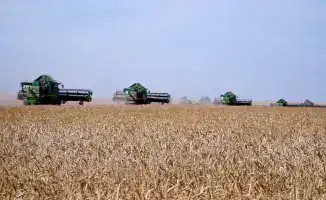 Акмолинская область устанавливает рекорды по сбору зерна, привлекая внимание международного сообщества