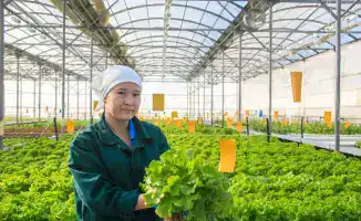 Рост объема продукции в малом и среднем бизнесе Жетісу способствует экономическому развитию региона