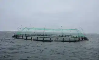 Проект по аквакультуре в Мангистау: новые перспективы для рыбного хозяйства и экономики региона