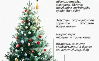 International Fire Safety Guidelines for Holiday Tree Installations: Recommendations from the Ministry of Emergency Situations