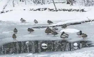 Казахстан готовится к арктическому холоду: прогноз погоды на 6-8 декабря