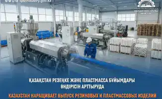 В Казахстане запущены новые инвестиционные проекты в сфере производства резиновых и пластмассовых изделий