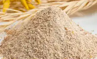 Кормовая мука: Казахстан укрепляет связи с Китаем!