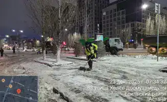 Три тысячи дорожных рабочих и 1 527 единиц техники занимаются уборкой снега в Астане