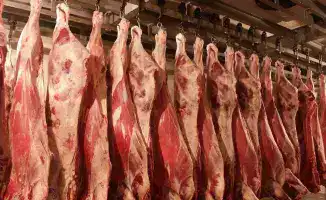 Мясной бум: 1 млн тонн за 11 месяцев!