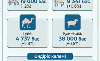 Увеличение посевных площадей в Махамбетском районе: рост сельского хозяйства и животноводства