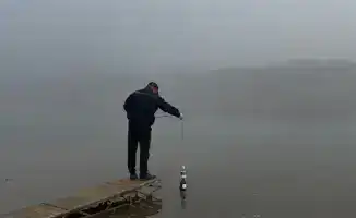 Экологическая безопасность: штрафы на миллиарды и 2540 нарушений!