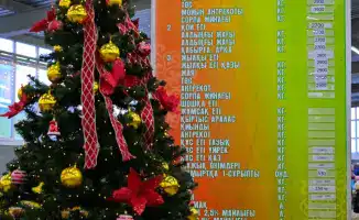 Павлодарская сельхозярмарка: доступные новогодние угощения от местных фермеров