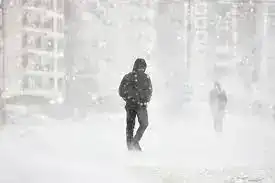 Не дайте зиме вас схватить: советы спасателей!