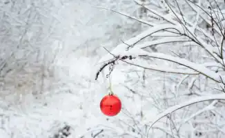 Неожиданная погода на Новый год в Казахстане: синоптики прогнозируют сюрпризы для празднующих