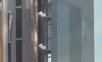 Облицовка зданий в Астане вновь обрушилась: Аким ответил на растущие жалобы о трещинах и проблемах в ЖК