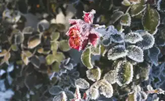 Прогноз погоды в Казахстане на январь 2026: сильные морозы от синоптиков Казгидромета