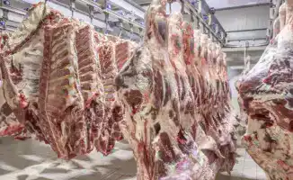 Казахстан вводит ограничения на экспорт говядины: министр объясняет меры для стабилизации внутреннего рынка