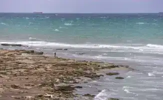 Касым-Жомарт Токаев на казахско-иранском бизнес-форуме в Астане подчеркнул необходимость безотлагательных действий по сохранению водных ресурсов Каспия.