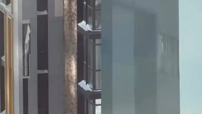 Облицовка зданий в Астане вновь обрушилась: Аким ответил на растущие жалобы о трещинах и проблемах в ЖК Павлодаре