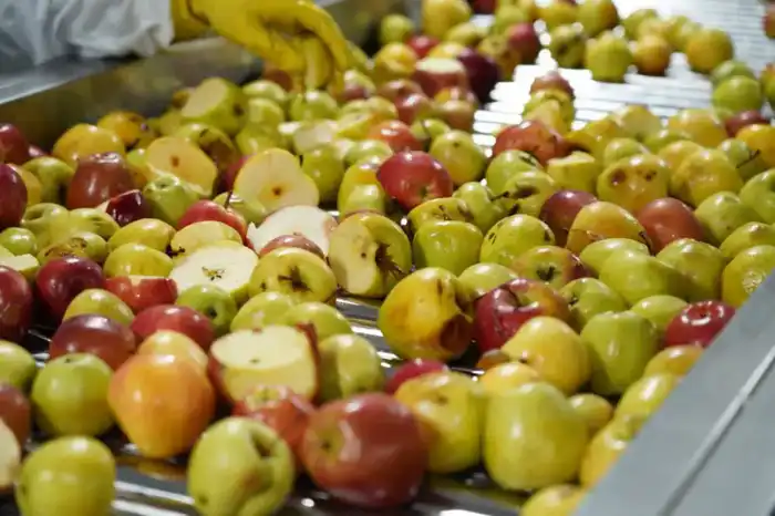 Завод по глубокой переработке фруктов и ягод запустили в Туркестанской области (5)