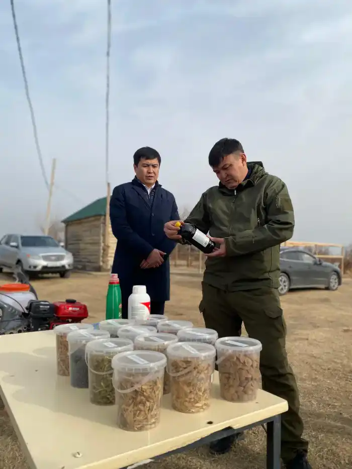 В ТУРКЕСТАНСКОЙ ОБЛАСТИ ПРОВЕРИЛИ РАБОТУ ЛЕСНЫХ ХОЗЯЙСТВ (2)