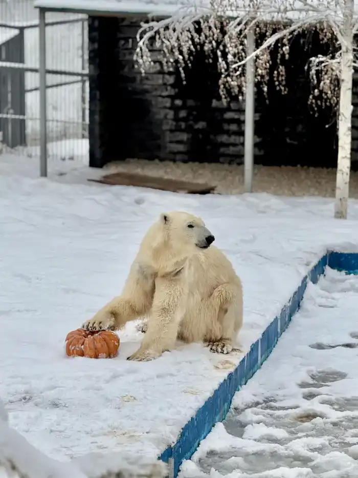 В Алматинском зоопарке увеличилось количество новых видов животных и растёт число посетителей (4)