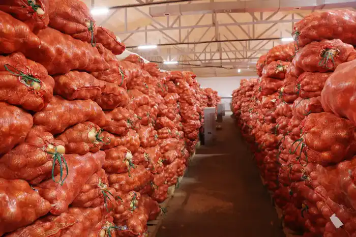 Ербол Карашукеев проверил овощехранилище и молочно-товарную ферму в Байзакском районе Павлодаре