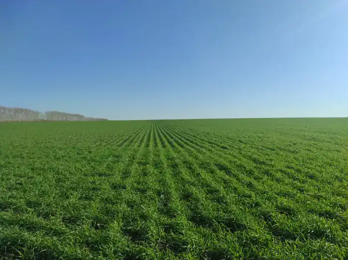 Стратегия развития агропромышленного комплекса ВКО Павлодаре