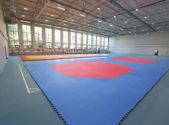 Алматы инвестирует в спорт: 6 новых ФОКов и современный центр подготовки спортсменов (3)