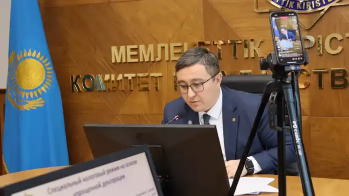 Налоговая тропа: выбор специального режима до 1 марта 2026 года Павлодаре