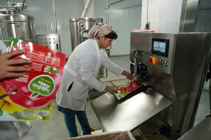 Запуск завода по глубокой переработке фруктов в Туркестанской области: поддержка местных фермеров и развитие сельского хозяйства Павлодаре