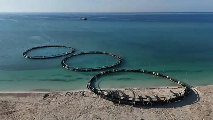 Рынок рыбной продукции Казахстана достиг 76,8 тыс. тонн за 11 месяцев 2025 года Павлодаре