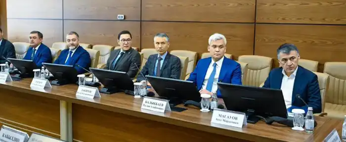 Казахстан и КазМунайГаз обсуждают инвестиции в энергетику Павлодаре