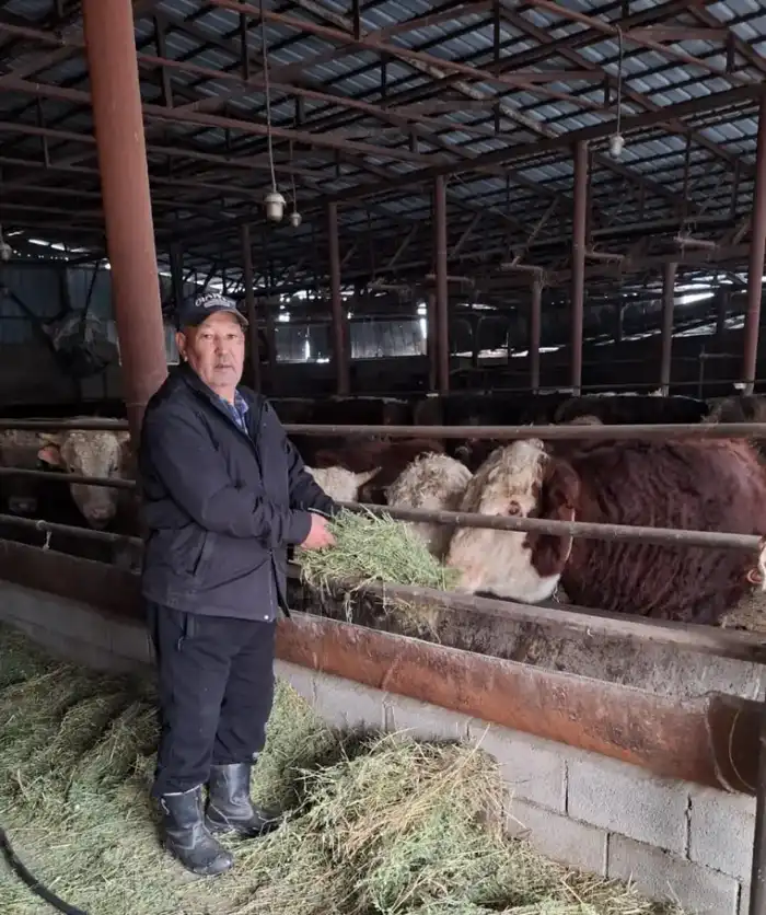 Фермерство на пустыре: как Мусагали Алимжанов создал успешное хозяйство с нуля Павлодаре