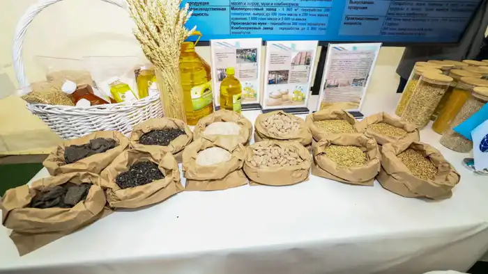 Премьер-министр посетил ряд предприятий Алматинской области и ознакомился с объемами привлеченных инвестиций (6)