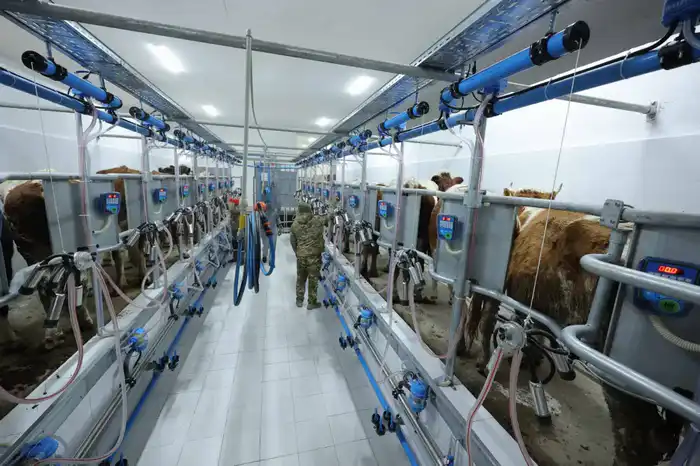 Ербол Карашукеев ознакомился с развитием сельского хозяйства в Байзакском районе (10)