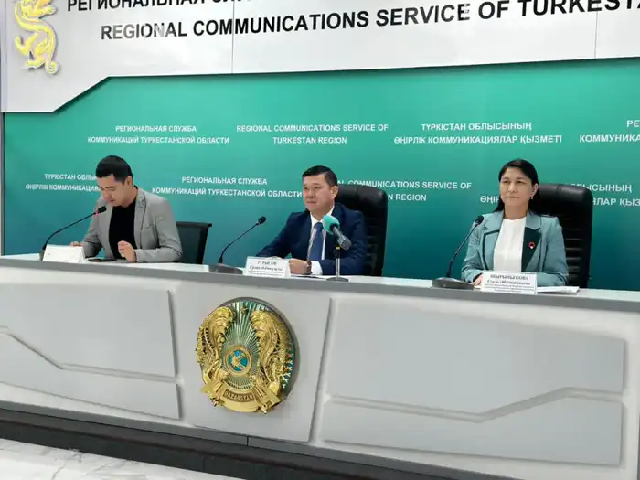 Рост налоговых поступлений в Туркестанской области: последствия для бюджета и предпринимательства Павлодаре